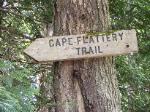 The beginning of Cape flattery trail