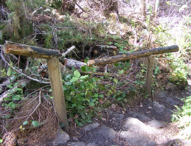 Olympic Nation Park Cape Flattery Trail Broken Handrail