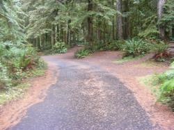 Driving Loop A Fairholme Campground Olympic National Park