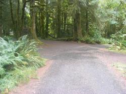 Driving Loop A Fairholme Campground Olympic National Park