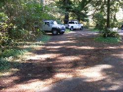 Driving Loop E Mora Campground Olympic