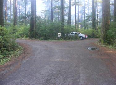  Loop A Olympic National Park Mora Campground
