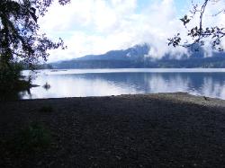 Lake Quinault Olympic National Park