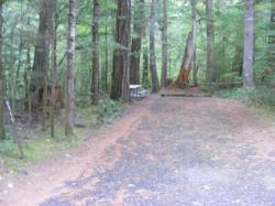 Loop C Site 111 - Newhalem Campground North Cascades NP