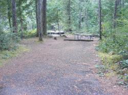 Loop C Site 78 - Newhalem Campground North Cascades NP