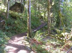River Loop Trail - Newhalem CG North Cascades NP