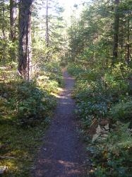 River Loop Trail - Newhalem CG North Cascades NP
