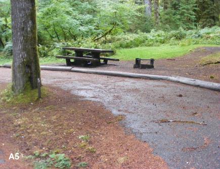 Sol Duc Campground site 5 Olympic National Paark