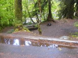 Sol Duc Campground Olympic National Park Site 11