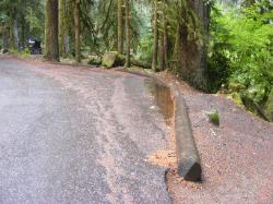 Sol Duc Campground Olympic National Park Site 11
