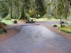 Sol Duc Campground Olympic National Park Site 12