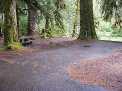 Sol Duc Campground Olympic National Park Site 13