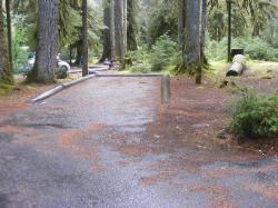 Sol Duc Campground Olympic National Park Site 16