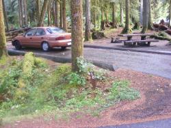 Sol Duc Campground Olympic National Park Site 20