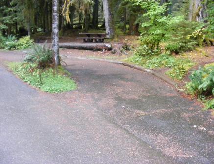 Sol Duc Campground site 28 Olympic National Paark