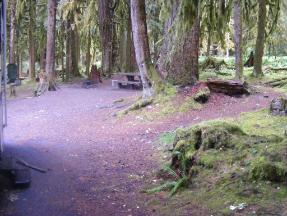 Sol Duc Campground site 29