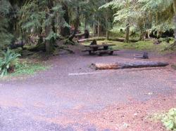 Sol Duc Campground Olympic National Park Site 31
