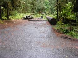 Sol Duc Campground Olympic National Park Site 32