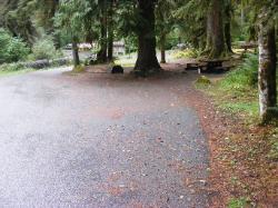 Sol Duc Campground Olympic National Park Site 33
