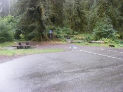 Sol Duc Campground Olympic National Park Site 36