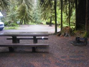 Sol Duc Campground site 29