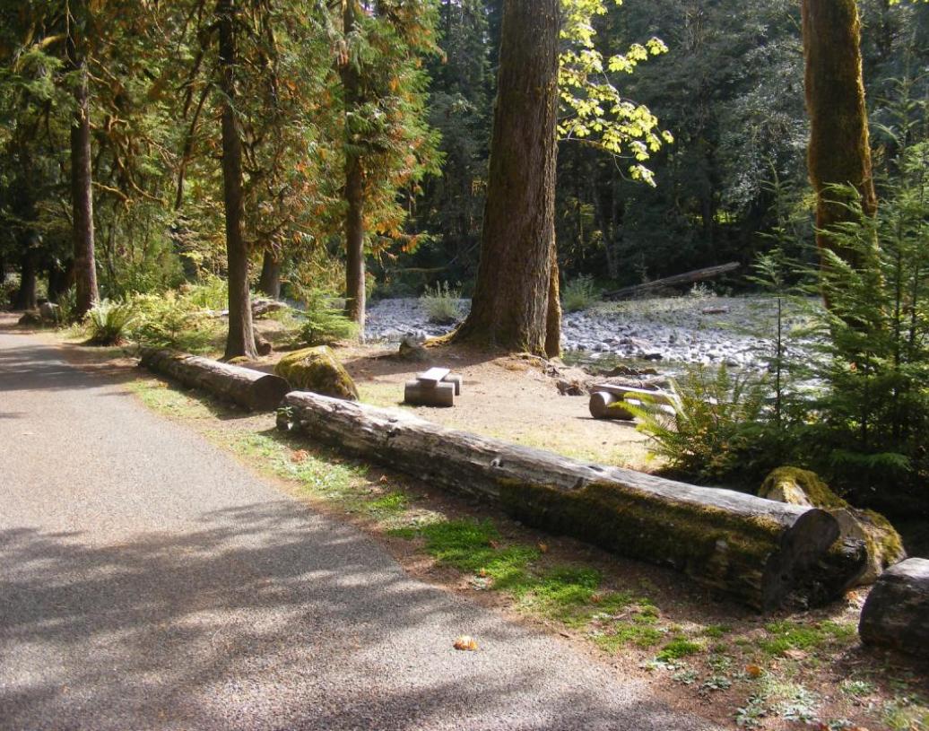 Staircase Campground Wash Out Sites  - Olympic National Park
