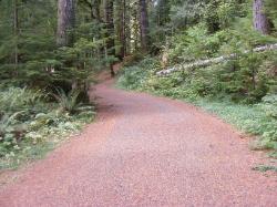 Staircase Campground  - Olympic National Park