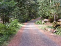 Staircase Campground  - Olympic National Park