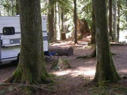 Staircase Campground Site 01 - Olympic National Park