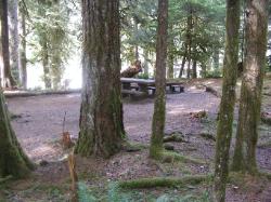 Staircase Campground Site 01 - Olympic National Park
