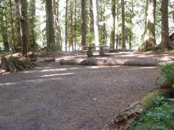 Staircase Campground Site 02 - Olympic National Park