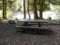 Staircase Campground Site 04 - Olympic National Park