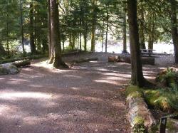 Staircase Campground Site 04 - Olympic National Park