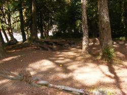 Staircase Campground Site 05 - Olympic National Park