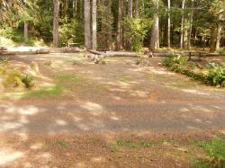 Staircase Campground Site 07- 08  - Olympic National Park
