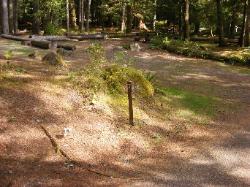 Staircase Campground Site 07 - Olympic National Park