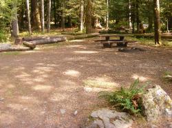 Staircase Campground Site 08 - Olympic National Park
