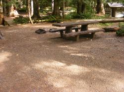 Staircase Campground Site 09 - Olympic National Park