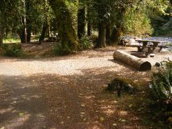 Staircase Campground Site 10 - Olympic National Park