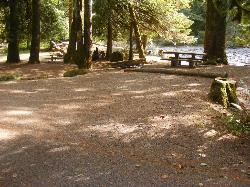 Staircase Campground Site 11 - Olympic National Park