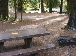 Staircase Campground Site 17 - Olympic National Park