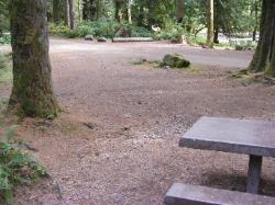 Staircase Campground Site 17 - Olympic National Park