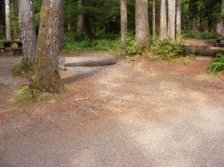Staircase Campground Site 18 - Olympic National Park