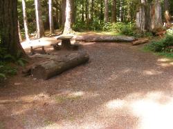 Staircase Campground Site 19 - Olympic National Park