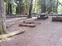 Staircase Campground Site  20 - Olympic National Park