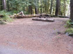 Staircase Campground Site  21 - Olympic National Park
