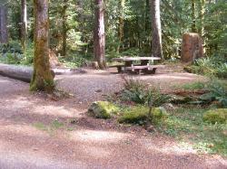 Staircase Campground Site  22 - Olympic National Park