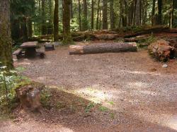 Staircase Campground Site  23 - Olympic National Park