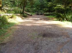 Staircase Campground Site  24 - Olympic National Park