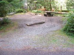 Staircase Campground Site  25 - Olympic National Park